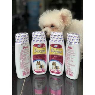 Sữa Tắm Chó Mèo [ Sữa Tắm DERMA Đăc Trị Nấm Ghẻ Và Phòng Ve Bọ Cho Chó Mèo ]