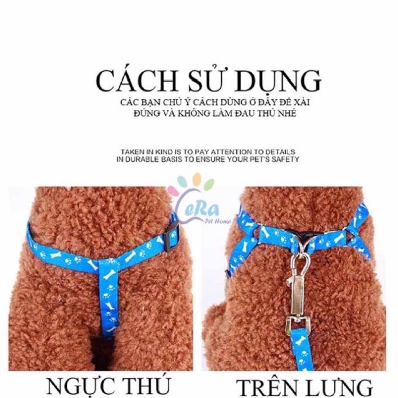 Dây dắt cho cún miu  🐱?