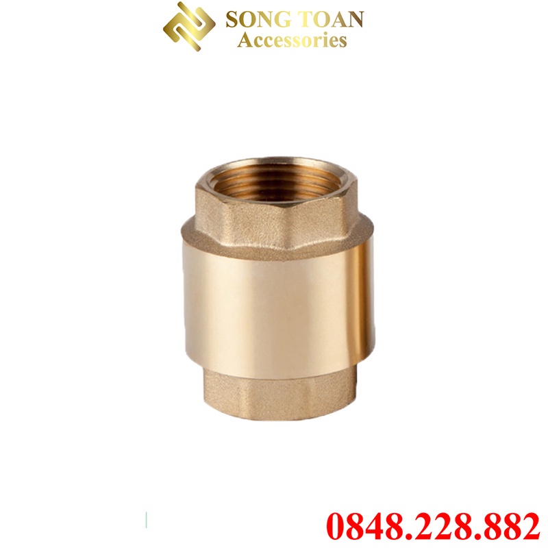 Van 1 Chiều & Luppe Có Lá Chặn Dòng Chảy Chốt Khóa Lò Xo - Bằng Đồng Thau  - Bước Ren Trong Tiêu Chuẩn Thông Dụng