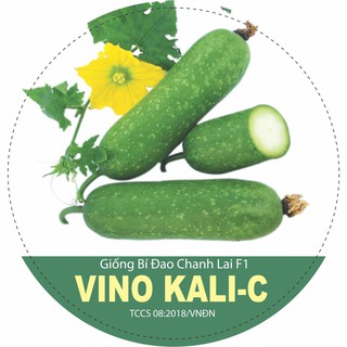 Hạt giống bí đao chanh lai f1 VINO KALI-C, bí đao trái dài ruột xanh