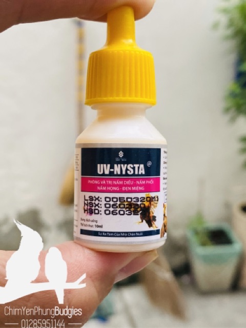 1 lọ Uv-Nysta chuyên nấm diều, nấm họng, đẹn cho Gà Đá.