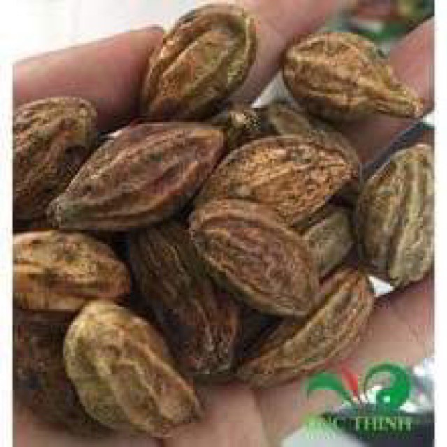 1 lạng quả kha tử - chữa ho trẻ em rất tốt