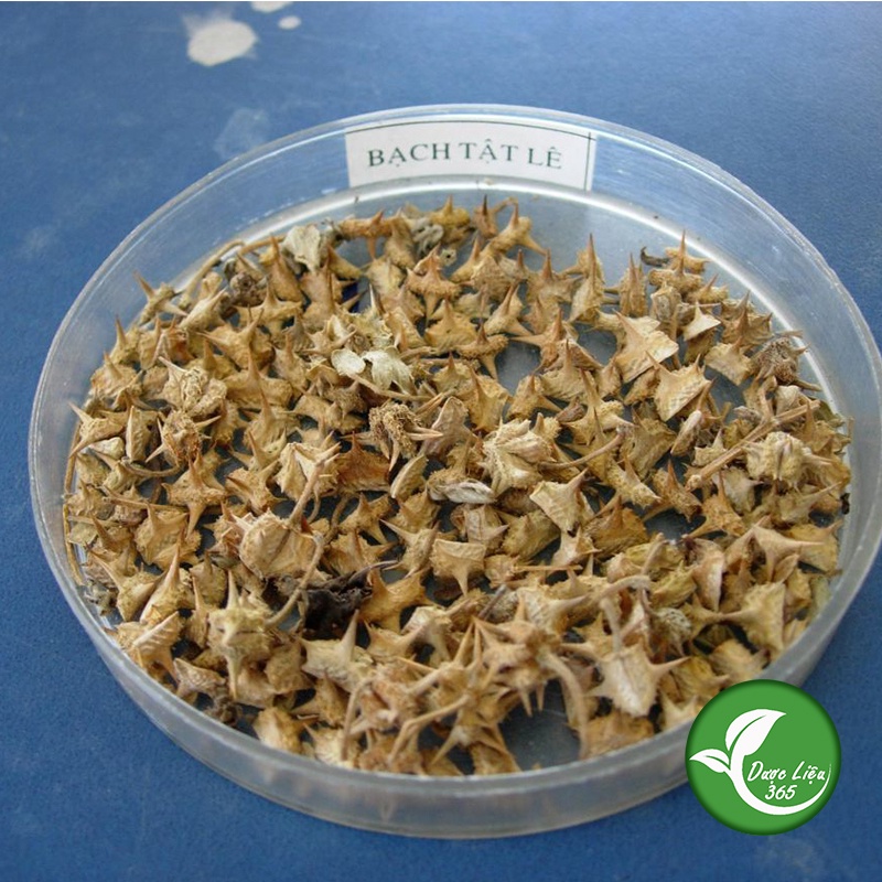 Bạch Tật Lê [1KG] Hàng cam kết loại 1