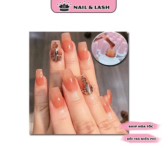 Sơn thạch cam Hàn siêu xinh màu HOTTREND 2021