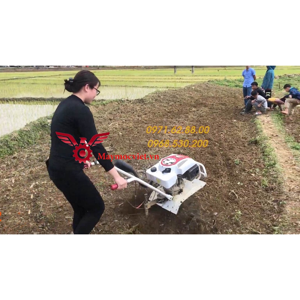 Máy cày ruộng vườn chính hãng Trâu Vàng giá rẻ tại Hòa Bình