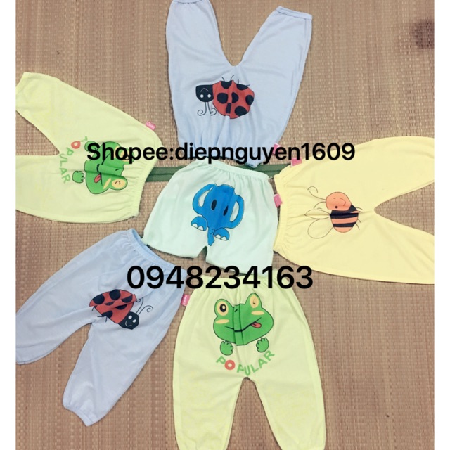 Combo 50 quần in mông cater 1-5