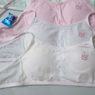 ÁO NGỰC HỌC SINH