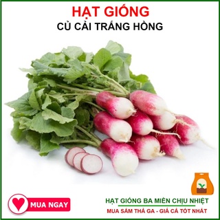 Hạt Giống Củ Cải Trắng Hồng Rạng Đông 1gram