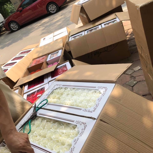 hộp 50 bông hoa sáp 3-4 lớp hàng loại 1