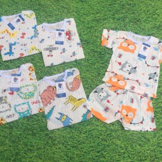 COMBO 5 BỘ COTTON GIẤY CHO BÉ