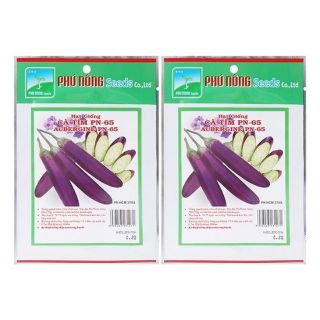 Hạt Giống Cà Tím F1