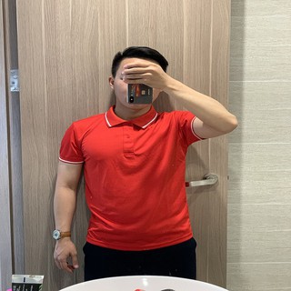 Áo polo nam thời trang The1987 chất liệu vải cá sấu poly cổ bẻ bo viền trẻ trung from chuẩn mặc tôn dáng | BigBuy360 - bigbuy360.vn