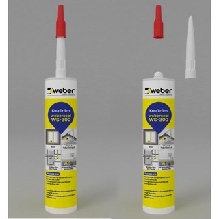 Keo silicon Apollo Sealant A300 300ml