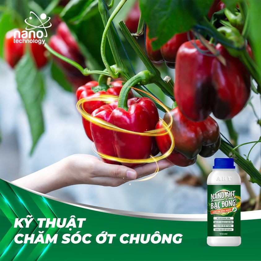 Phân bón vi lượng Nano bạc đồng AHT 100 ml/500ml