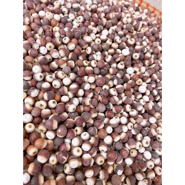 Hạt Khiếm thực, hạt khiếm thật, kê đầu hàng loại 1