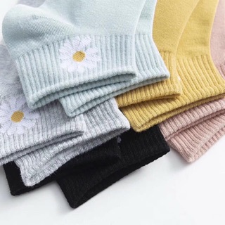Tất hoa cúc hot trend