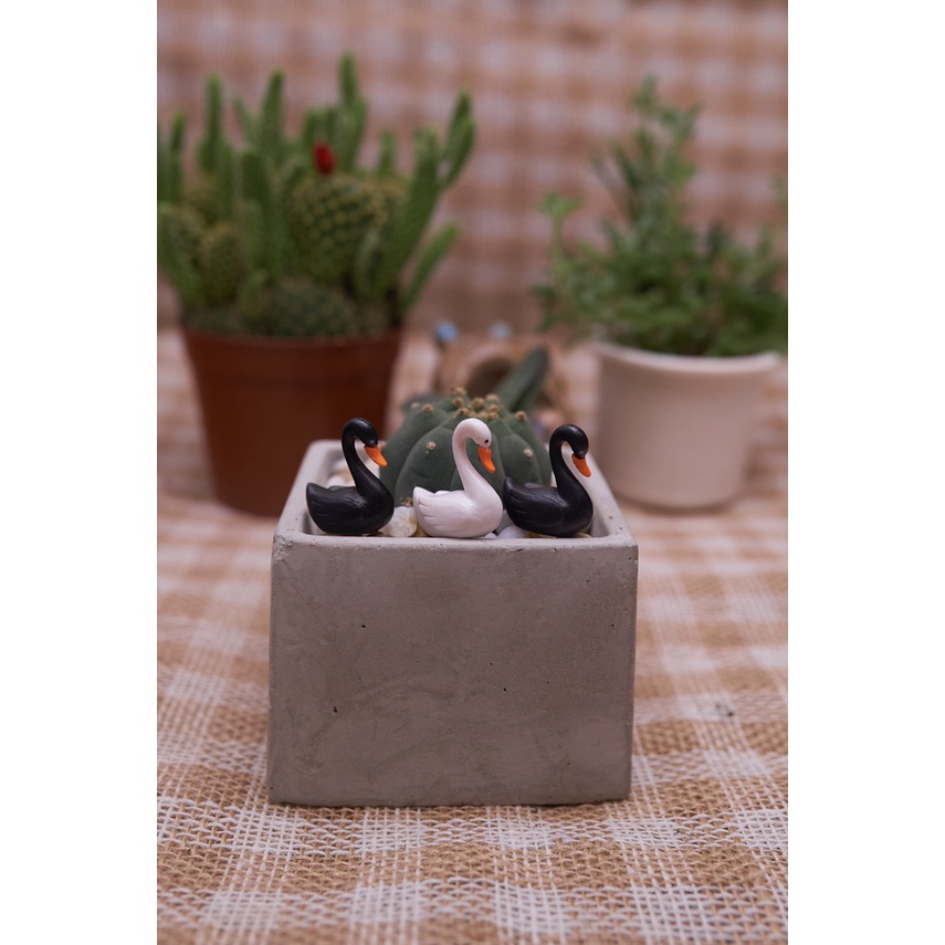 Phụ Kiện Thiên Nga Trắng và Đen , Trang trí tiểu cảnh , sen đá xương rồng