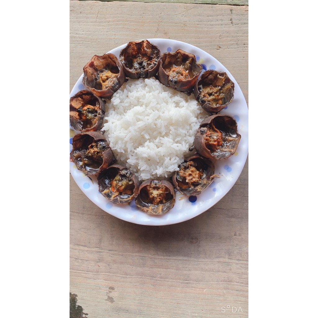 Mắm Ba Khía Nguyên Con chính gốc Rạch Gốc - Hàng lựa | BigBuy360 - bigbuy360.vn