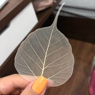 [KHO BUÔN] Xương lá Bồ Đề nguyên bản - 100 lá/set