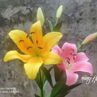 Set nguyên liệu làm hoa ly giấy mỹ thuật