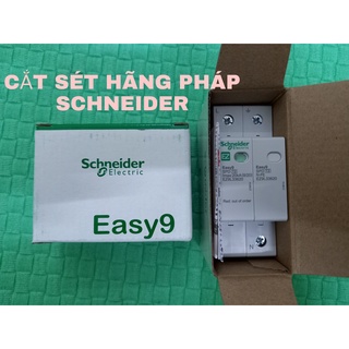 CẮT SÉT LAN TRUYỀN 1 PHA HÃNG PHÁP SCH