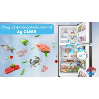 Tủ lạnh Panasonic NR-BL267PKV1 - inverter, 234 lít