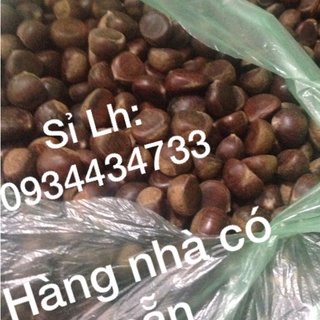 HẠT DẺ CAO BẰNG loại 1 hạt siêu to