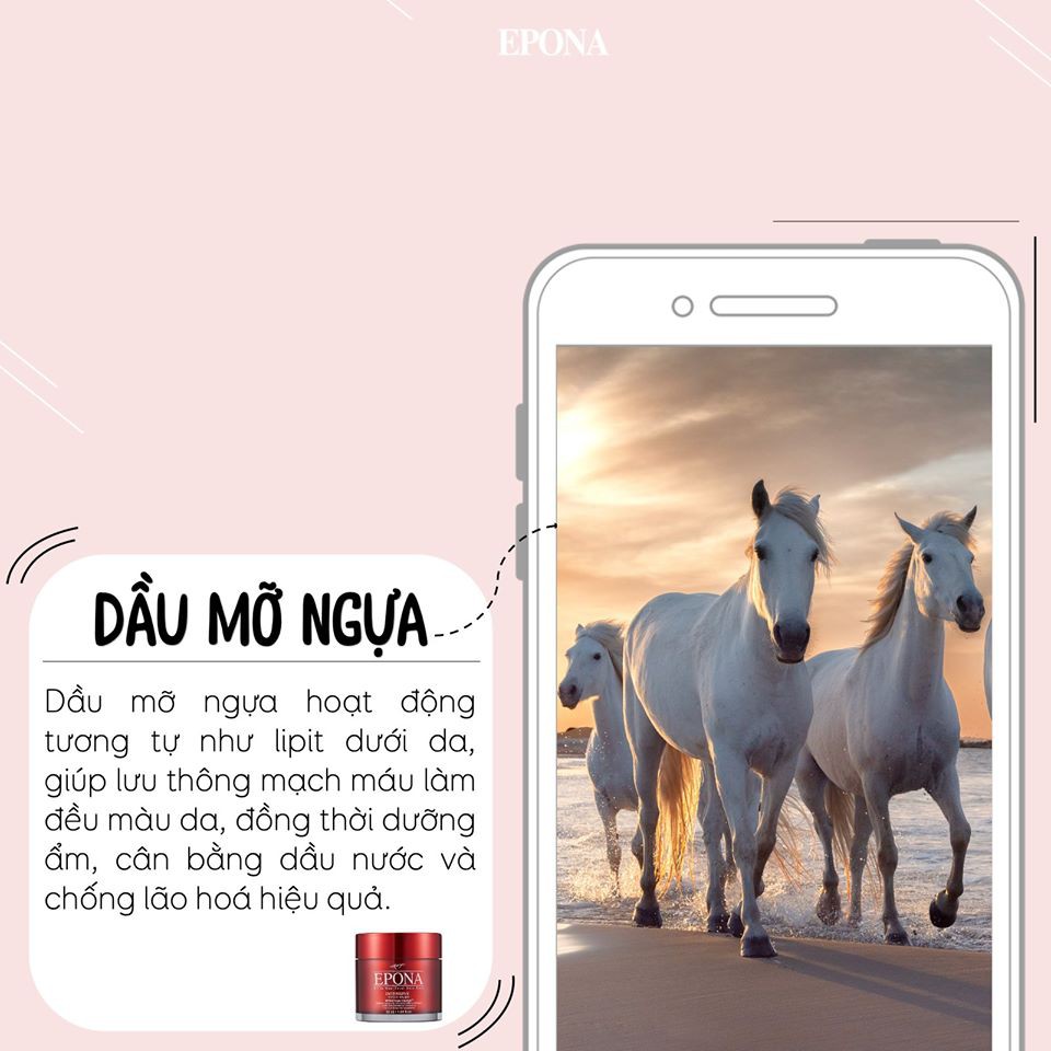 Kem Dưỡng Da Đa Năng Chuyên Sâu Epona All In One Total Skin Care Intensive