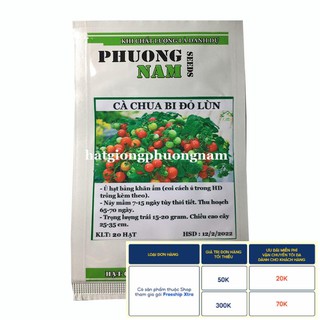 20h - hạt giống cà chua bi đỏ lùn