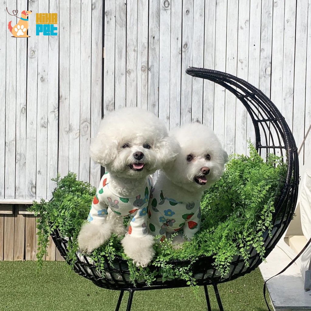 Áo Thun Ba Lỗ Hình Trái Dâu Thỏ Cho Chó Mèo Hàn Quốc Quần Áo Thú Cưng Cao Cấp Hihapet.