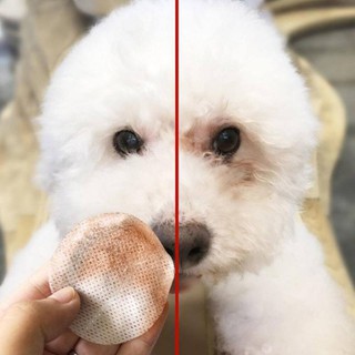 khăn lau mắt chó mèo
