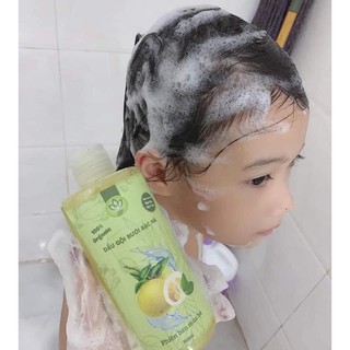 Dầu gội bưởi rừng giảm rụng tóc THH