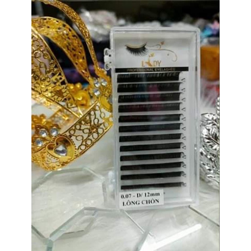Mi lông chồn nối bắt keo nối tạo fan volume hay classic thiết kế