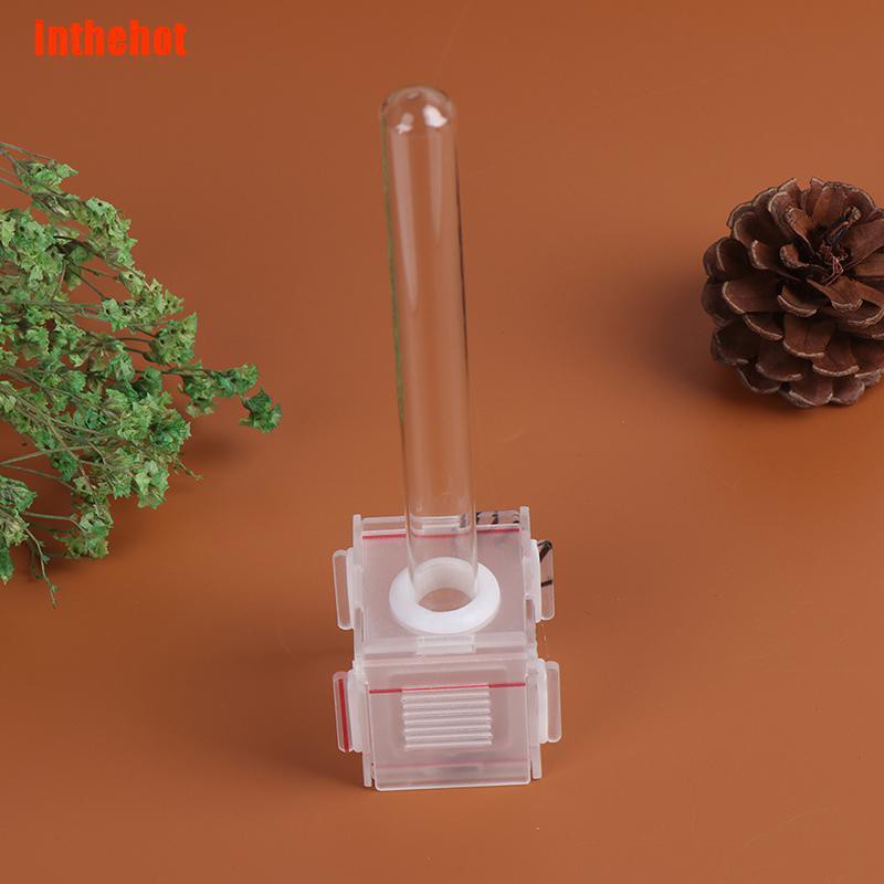 Kiến Mini Trong Suốt