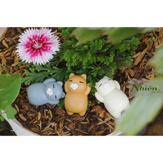 [Hình thật] MÈO LƯỜI - Phụ kiện Terrarium ĐL