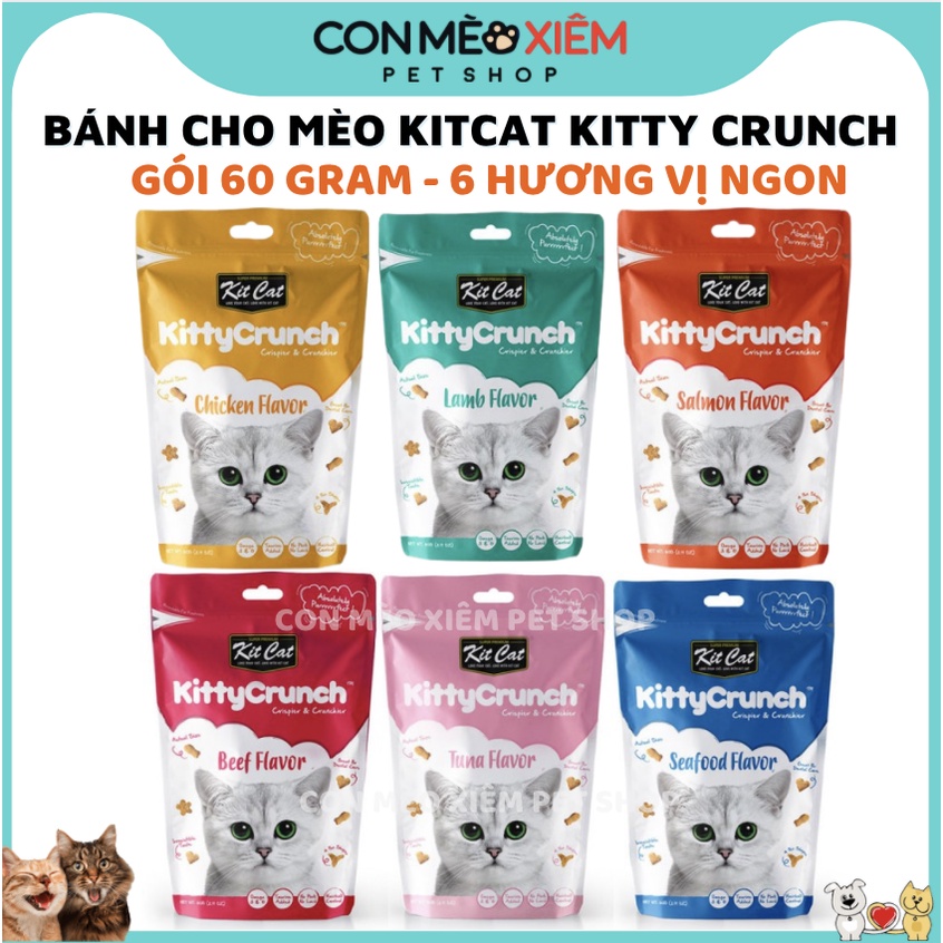 Bánh thưởng cho mèo Kit Cat kitty crunch 60g, thức ăn snack vặt huấn luyện mèo con lớn Con Mèo Xiêm