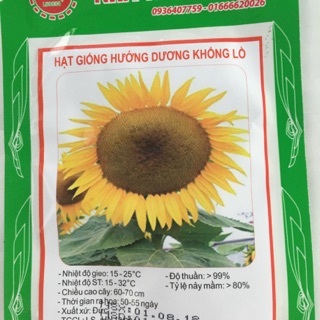 Hạt giống Hướng dương khổng lồ
