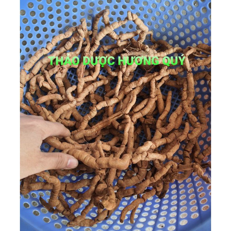 BA KÍCH TÍM TƯƠI CHUẨN RỪNG (1KG)