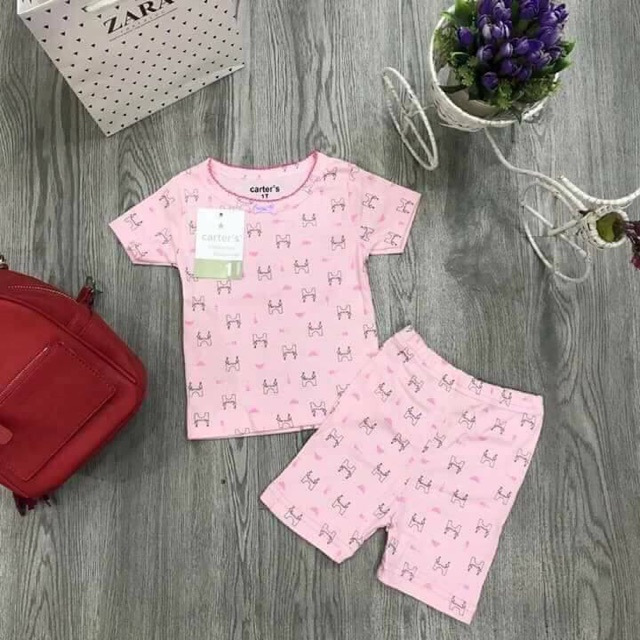 Đồ bộ Carter Bozip  bé gái size 2