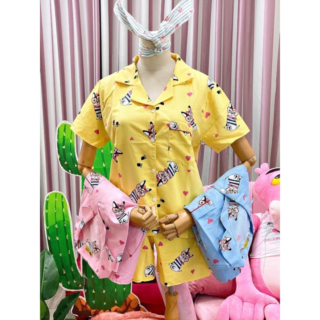 Pijama ngắn BIGSIZE -hình thật - inbox gửi mẫu mới nhất(có size lớn)  ཾ ྇ ྇