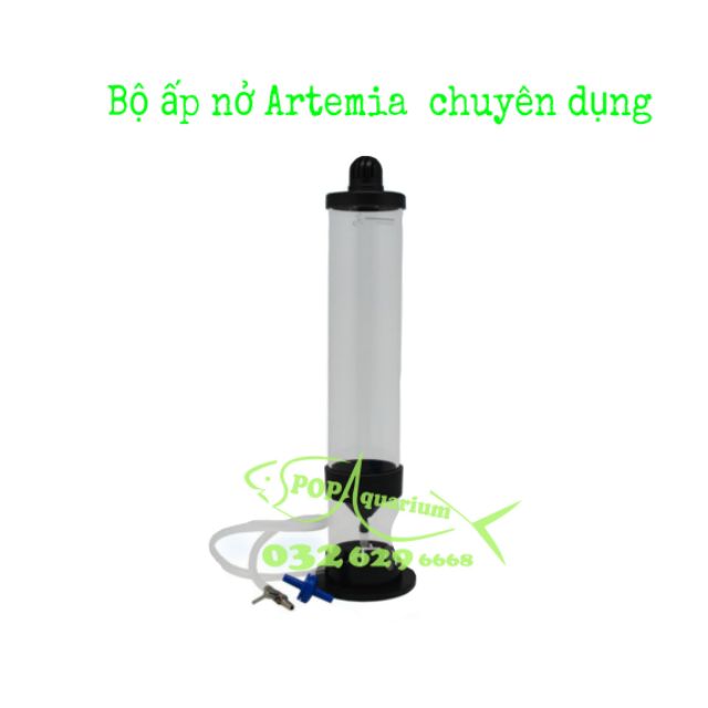 Bộ ấp trứng artemia cho cá cảnh