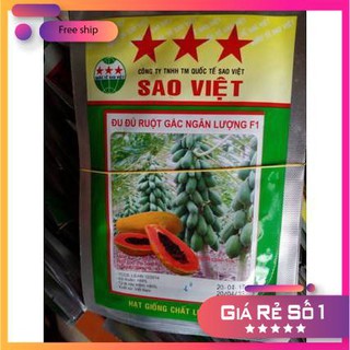 Hạt giống Đu đủ ruột gấc