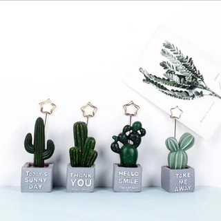 [ SALE KHỦNG ]  chậu xương rồng mini nhỏ xinh