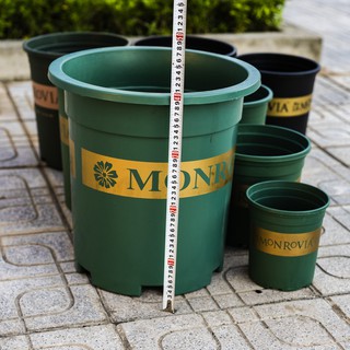 Chậu Monravia VIỆT NAM 7GL