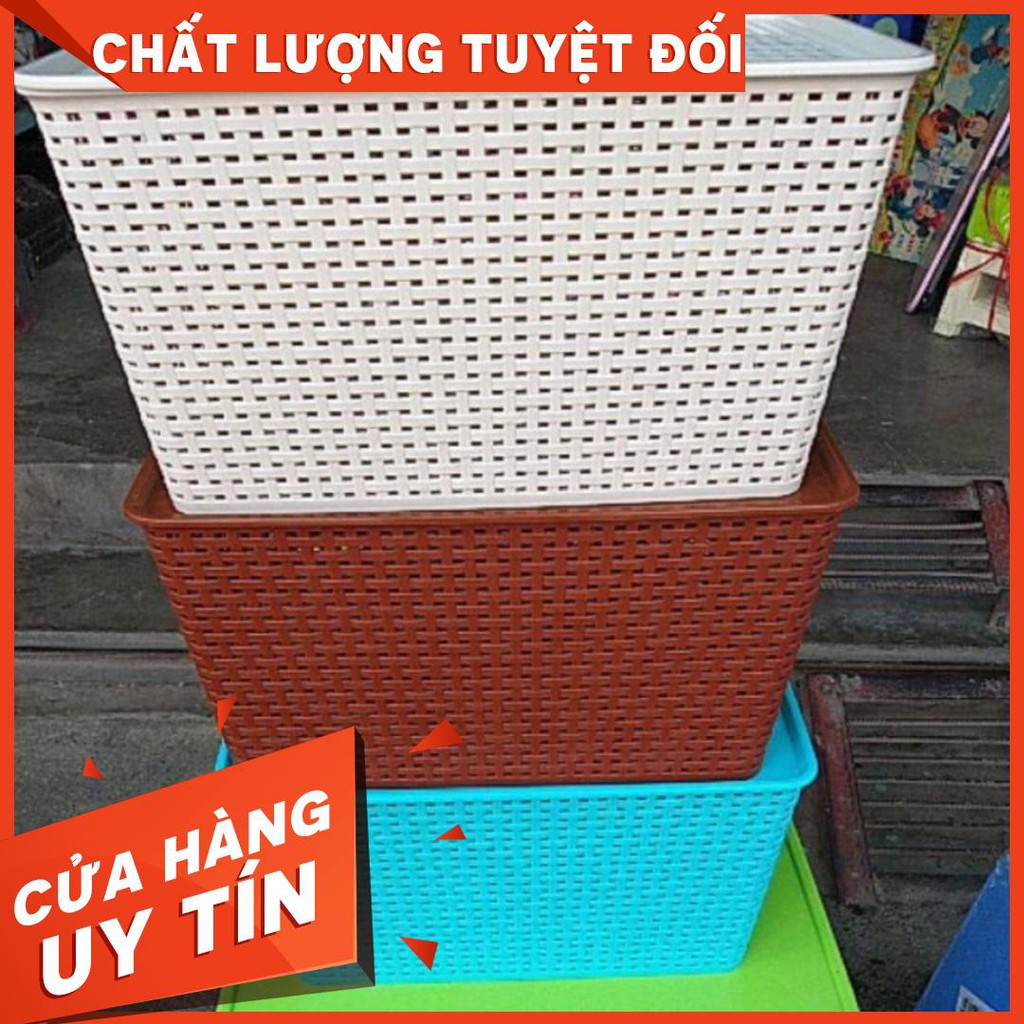 Combo 2  trung và 2 bé giỏ Đan có nắp