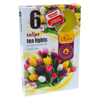 NẾN TEALIGHTS HOA TULIPS ADMIT PTT026054