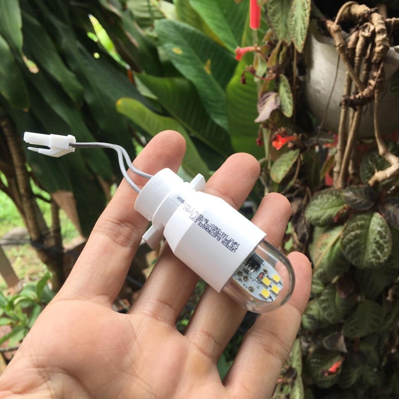 Bóng LED nhỏ 220V 1W 6500K sáng trắng