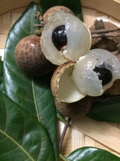 Long nhan nha chi Phuong Son la