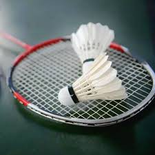 Cầu lông - cầu lông vũ bền , rẻ .