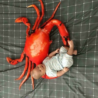 Gối ôm 3D Loại 1, Con Cua 1m